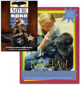 book_and_dvd2