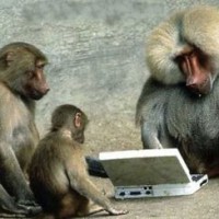 Monkeys_on_computers-200x200