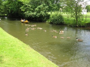 cherwell3