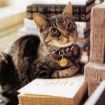 librarycat
