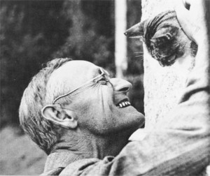 hesse