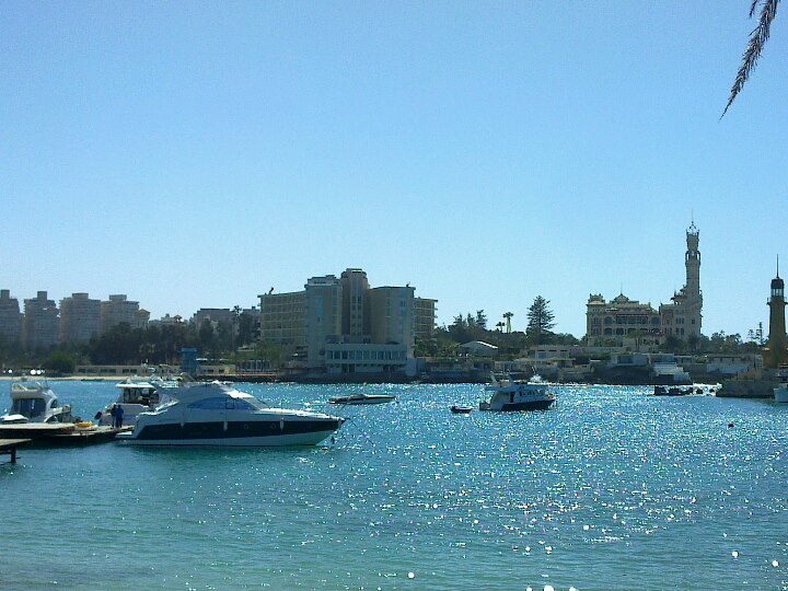 Alexandria3
