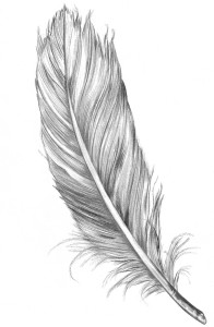Feather