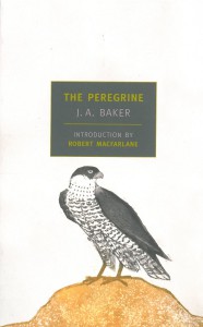 peregrine copy