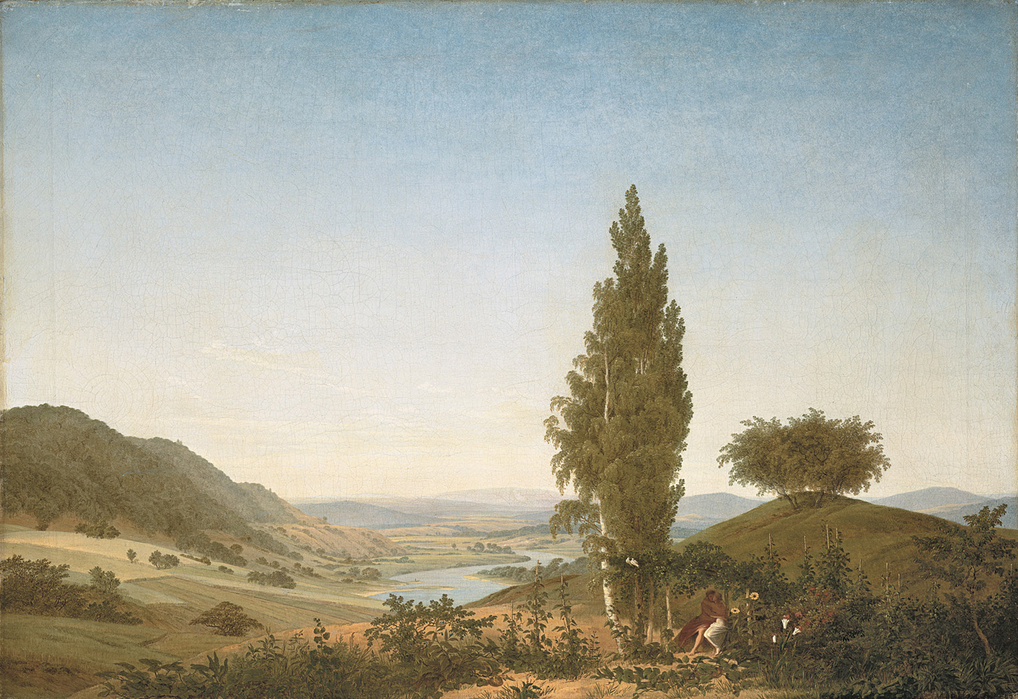 Summer, the Hum of Poetry, and the Wild Accidents That Gave Us Life…